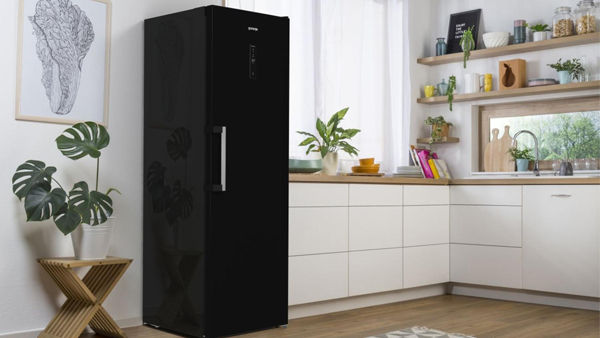 freistehender gorenje kühlschrank schwarz r619DABK6